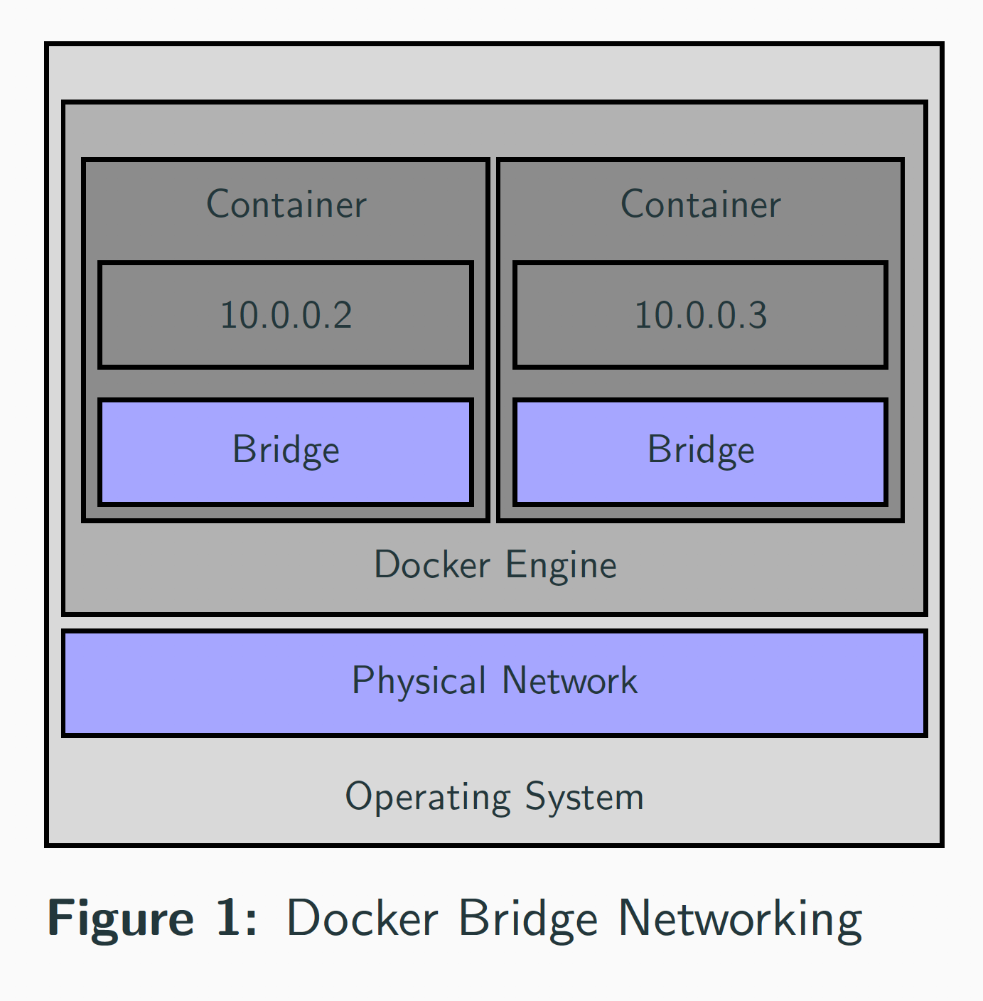 Docker Bridge Networking