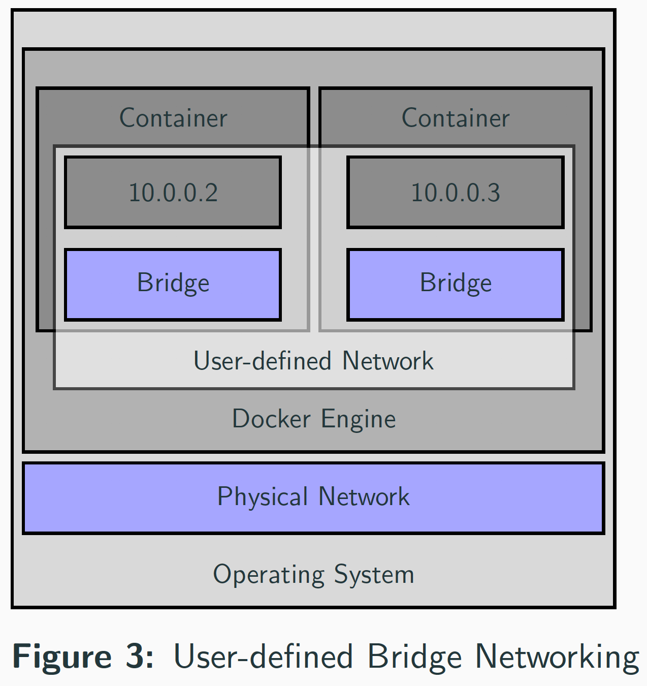 User-defined bridge network