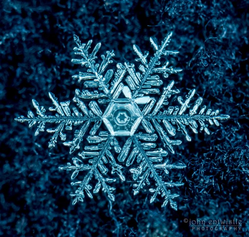 Snowflake Photo taken from https://earthsky.org
